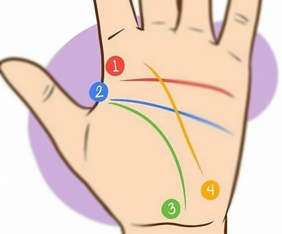 El significado de las líneas de las manos de la vida, de refiere a enfermedades, tiempo de vida y calidad de vida