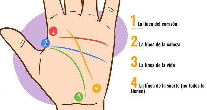 El significado de las líneas de las manos predicen el futuro