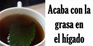 eliminar grasa del hígado