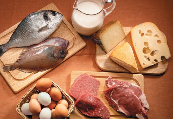 alimentos que tienen altos contenidos de grasas de animales