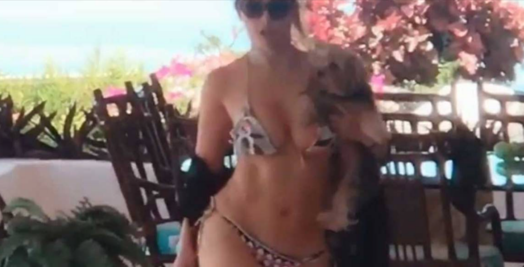 Aracely Arámbula en vikini