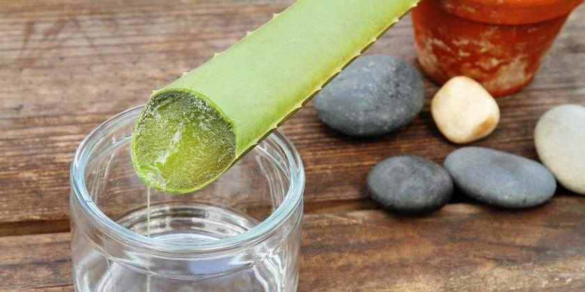 Con el uso de las propiedades del aloe vera puedes tener una piel sana.