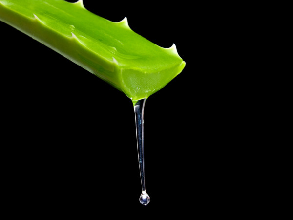 Aloe vera para las arrugas