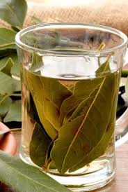 vaso con hojas de laurel
